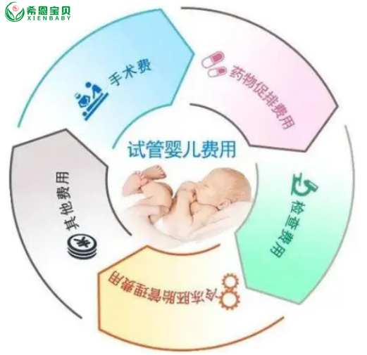 希恩宝贝-哈萨克斯坦试管婴儿费用:透明、公正无隐形消费